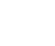 Evolution games at Lion Wins Casino