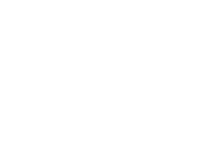 NetEnt games at Lion Wins Casino